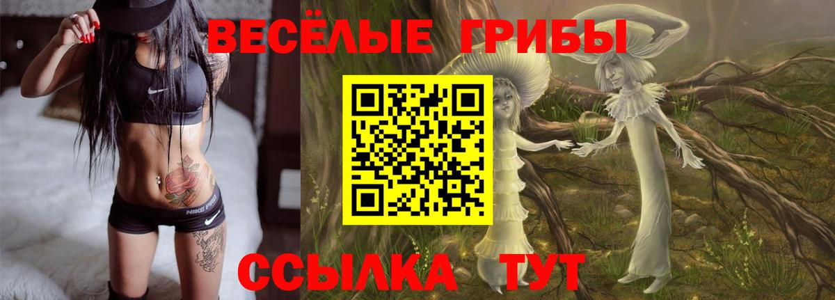 Ступино  Галлюциногенные грибы Cubensis  Вход с VPN 